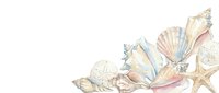 Watercolor seashells and starfish arrangement on white background, isolated design element suitable for coastal themed invitations, greeting cards, and decorative projects.