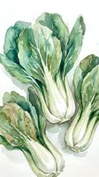 Watercolor bok choy vegetables with green leaves and white stems painted in soft botanical style for healthy cooking and organic food designs.
