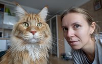 Close-up portrait of a young woman with her fluffy ginger Maine Coon cat at home, showing their bond and companionship.