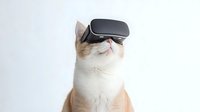 Adorable ragdoll cat wearing VR headset looking up with amazed expression. Modern technology meets pet humor concept for digital marketing and entertainment.
