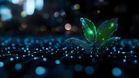 Young green plant sprout growing from soil against dark background with magical blue bokeh lights and water drops, symbolizing hope, growth and new beginnings.