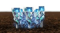 Digital money growing from soil with glowing blue currency symbols and circuit patterns, representing financial growth, investment returns, and digital economy concepts for business and technology designs.
