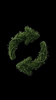 Green recycling symbol made of moss and vines, isolated on transparent background. Ready for eco, sustainability clipart, stickers, t-shirt design, print on demand, sublimation.