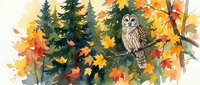Barred owl perched on branch surrounded by vibrant autumn maple leaves and evergreen trees in watercolor style forest scene for nature wildlife designs.