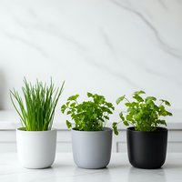 Three potted herbs chives parsley cilantro in modern white gray black planters on marble counter kitchen windowsill indoor gardening fresh cooking ingredients.