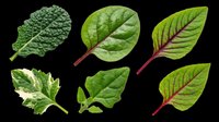 Leafy green vegetables isolated on transparent background, ready for clipart, t-shirt design, print-on-demand products, stickers, and sublimation projects.