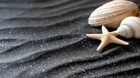 Starfish and seashells on dark wet sand with ripple pattern texture. Minimalist beach composition with natural lighting creates serene coastal atmosphere.