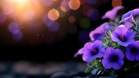 Purple petunias bloom in garden with warm bokeh lights creating magical atmosphere for spring gardening and floral design projects.