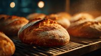 Freshly baked artisan bread loaves cooling on wire rack in warm bakery kitchen with golden lighting creating cozy atmosphere for food photography.