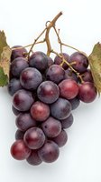 Fresh bunch of red grapes with leaves on white background, isolated. Ripe juicy cluster for food, wine, and healthy eating concepts.