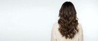 Woman with long wavy brown hair from behind wearing cream sweater against white background for hair care and beauty concepts.