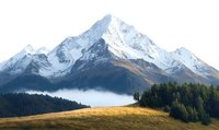 Majestic snow-capped mountain peak rising above morning mist, golden meadow in foreground and dense evergreen forest creating dramatic natural landscape.