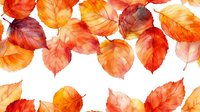 Vibrant autumn leaves in orange and red watercolor style scattered on white background, isolated botanical elements for seasonal designs and fall decorations.