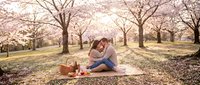 Young couple enjoying romantic picnic under blooming cherry blossom trees in spring park. Perfect for lifestyle, romance, and seasonal content.