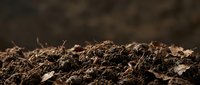 Rich, dark soil texture with organic matter and natural earth tones, suitable for gardening, agriculture, and environmental design projects.
