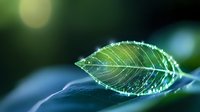 Fresh green leaf with morning dew drops glistening in sunlight against blurred natural background creates serene macro nature scene.