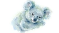 Watercolor portrait of a young koala with soft blue and green tones, rendered in loose brushstrokes. Suitable for wildlife art, nursery decor, and nature-themed publications.