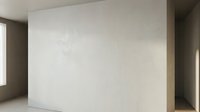 Empty modern interior room with white concrete wall and natural lighting for architectural visualization and design projects.