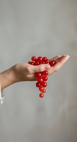 Hand holding fresh red currants with berries cascading down against neutral background, suitable for food, nutrition, healthy eating, and culinary content.