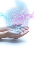 Cupped hands holding glowing digestive system with colorful smoke effects representing gut health and wellness on white background.