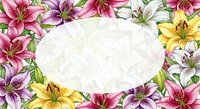 Colorful lily flowers frame with oval blank space for text, vibrant pink, yellow and white blooms on floral background for greeting cards.
