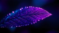 Purple leaf covered in water droplets glowing with magical bokeh lights against dark background, creating ethereal nature macro photography effect.