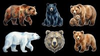 Six watercolor bear clipart set isolated on transparent background, ready for stickers, t-shirt design, print on demand, and sublimation projects.