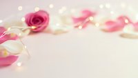 Romantic pink rose petals scattered with warm golden fairy lights on soft white background creating dreamy atmosphere for wedding or Valentine's Day celebrations.