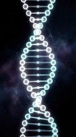 Glowing DNA double helix structure with luminous spheres against cosmic space background for genetics research and biotechnology presentations.