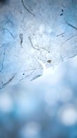 Cracked ice surface with dramatic lighting and blue bokeh background creates winter atmosphere for seasonal designs and cold weather concepts.
