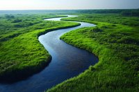 Winding river meandering through lush green wetland marsh with vibrant grass creating natural curves in peaceful landscape for environmental projects.