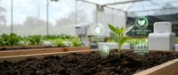 Young green plant seedling growing in soil with digital agriculture technology icons showing sustainable farming and smart greenhouse cultivation methods.
