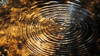 Concentric ripples on dark golden water surface create mesmerizing circular patterns with light reflections, capturing tranquil motion in nature.