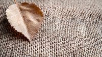 Delicate dried autumn leaf on natural linen fabric background with textured weave pattern, creating minimalist organic composition for lifestyle design.
