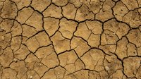Cracked dry earth texture with deep fissures in brown soil, suitable for environmental, climate change, drought, and nature-themed design projects.