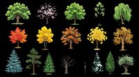 Assorted trees collection featuring deciduous and evergreen varieties in multiple seasons, isolated on transparent background. Ready for clipart, t-shirt design, print-on-demand products, stickers, and sublimation projects.