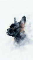 Artistic portrait of black French Bulldog profile emerging from misty watercolor effect background, showcasing distinctive breed features and expressive eyes.