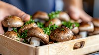 Fresh brown mushrooms with parsley in wooden box, close up view. Raw champignons with herbs ready for cooking healthy vegetarian meal.