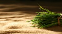 Fresh green chives bundle lying on textured sand surface in dramatic lighting, creating contrast between organic and mineral elements for food styling.