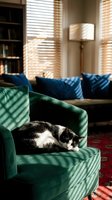 Adorable black and white kitten sleeping peacefully on emerald green velvet armchair in cozy sunlit living room with wooden blinds and bookshelf.