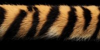 Natural tiger fur pattern with orange and black stripes showing detailed texture and hair structure on dark background, macro photography for wildlife designs.