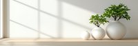 Minimalist interior design with green plants in white ceramic vases on wooden shelf near window with natural sunlight creating geometric shadows on wall.