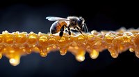 Honey bee walking on golden honeycomb dripping with fresh honey against dark background, macro photography showing intricate details of bee wings and body.