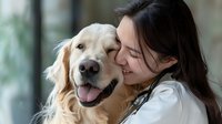 Young Asian female veterinarian in white coat embracing and showing affection to happy golden retriever dog during medical examination at veterinary clinic.