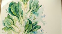 Fresh organic bok choy watercolor painting with green leaves and white stems on textured paper background for healthy cooking and nutrition concepts.