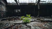 Abandoned industrial building interior with green plant growing through debris and rubble, symbolizing nature reclaiming urban decay and resilience.