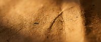 Footprint impression in golden sand dune with warm lighting and shallow depth of field for travel and adventure concepts.