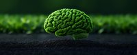 Green moss growing in brain shape on dark soil against blurred natural background, representing ecological consciousness and sustainable thinking.