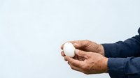 Male hands holding white egg against neutral background, isolated for design use on packaging, cooking websites, nutrition blogs, and educational materials.