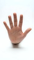 Open human hand palm showing five fingers isolated on white background for communication and gesture concepts.